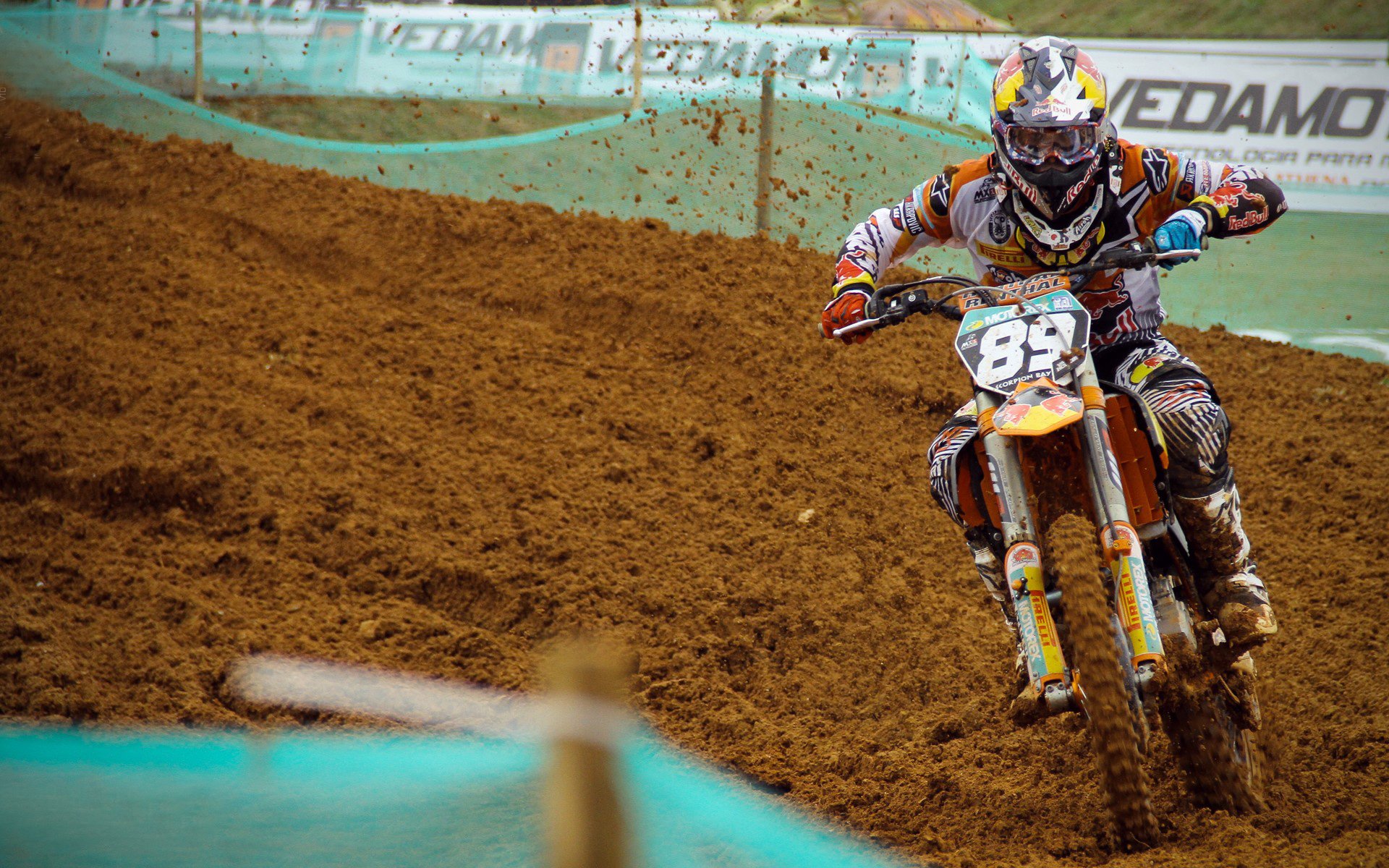 世界青少年武道大会展现中华武魂,世界武道大会介绍